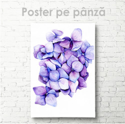 Poster, Flori violete