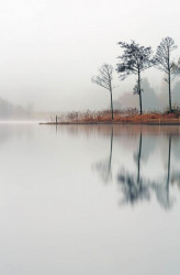 Poster, Lacul într-un parc pe ceață