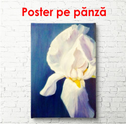 Poster, Maci delicați pe un fundal bej