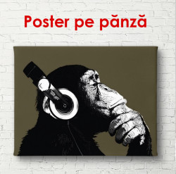 Poster, Maimuța cu căști pe un fundal negru