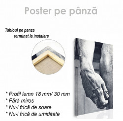 Poster, Mână