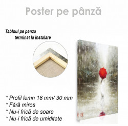 Poster, MeditațiePoster, Fata cu umbrelă