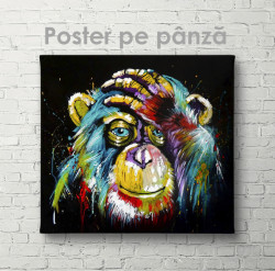 Poster, O maimuță
