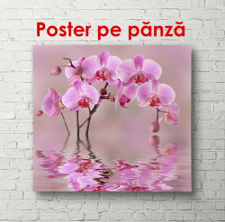 Poster, Orhidee în reflexia apei