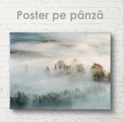 Poster, Peisaj cețos