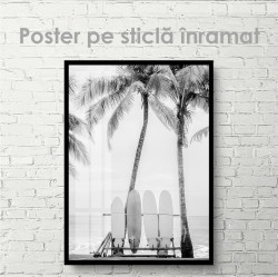 Poster, Placi de surf