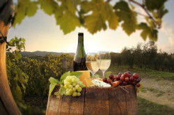Poster, Sticlă de vin cu brânză pe butoaie