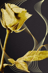 Poster, Trandafir de aur