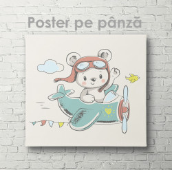 Poster, Ursulețul- pilot