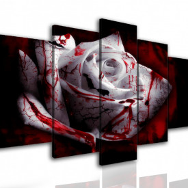 Tablou modular, Trandafirul alb, cu pete roșii