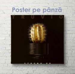 Poster, Cactus auriu