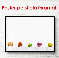 Poster, Cactuși multicolori