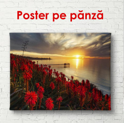 Poster, Câmpul de flori pe fundalul apusului