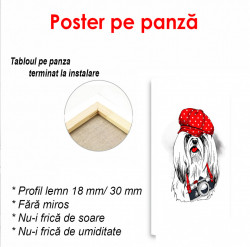 Poster, Cățeluș alb cu o șapcă roșie