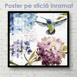 Poster, Colibri în flori