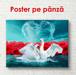 Poster, Dansul lebedelor