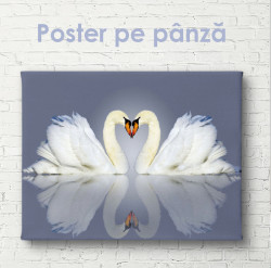 Poster, Două lebede