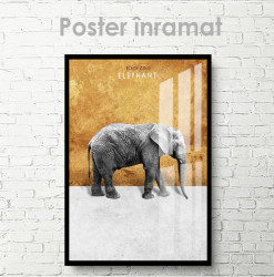Poster, Elefant pe fundal auriu