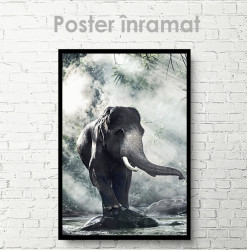 Poster, Elefant