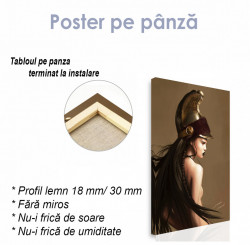 Poster, Fată cavaler