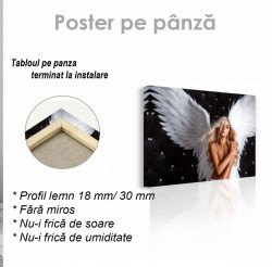 Poster, Fata înger