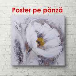 Poster, Floare albă pe perete