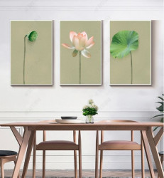 Poster, Floare de lotus