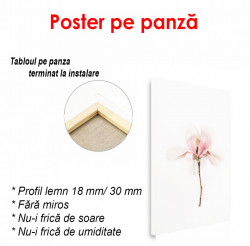 Poster, Floarea roz