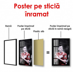 Poster, Fotbalist vesel