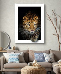 Poster, Leopard