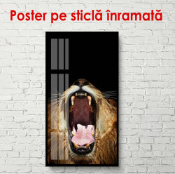 Poster, Leul