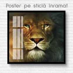 Poster, Leul