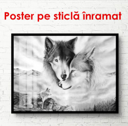 Poster, Lupi