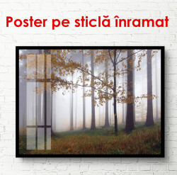 Poster, Pădurea ceață