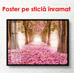 Poster, Parcul roz