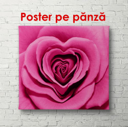 Poster, Trandafir purpuriu