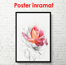 Poster, Trandafir roz pe un fundal deschis