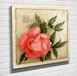 Poster, Trandafirul roz pe fundal verde