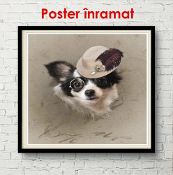 Poster, Un câine cu ochelari