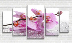 Tablou modular, Crenguță de orhidee și rouă