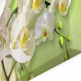 Tablou modular, Orhidee albă pe un fundal verde.