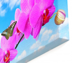 Tablou modular, Orhideea roz împotriva cerului