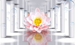 Fototapet 3D, Floarea de lotus roz