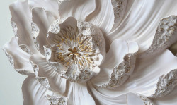 Fototapet 3D, O floare albă de nufăr