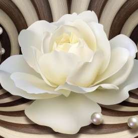 Fototapet 3D, Un trandafir alb pe un fundal de linii abstracte maro