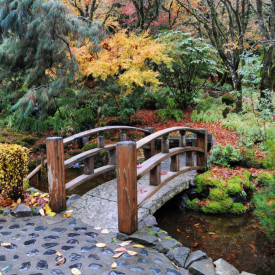 Fototapet, Alee într-un parc