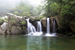 Fototapet, Frumoasa cascadă în pădurea verde