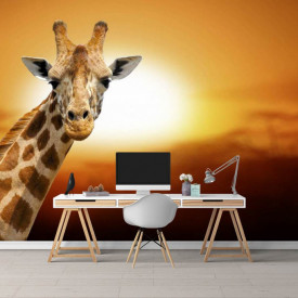 Fototapet, Girafă la apus de soare