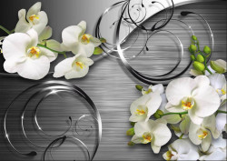 Fototapet, Orhidee albe pe un fundal gri