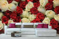 Fototapet, Trandafiri roșii și albi